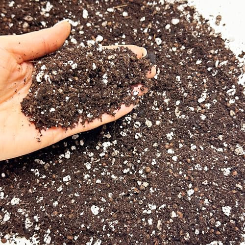 Premium Orchid Potting Mix – Fine Bark, Coco Coir & Perlite Soil for Repotting | Enriched with Organic Nutrients for Phalaenopsis & Indoor Orchids (6L)