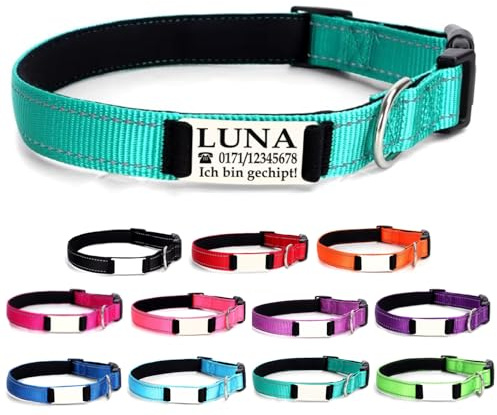 Ibera gifts - Hundehalsband Personalisiert, Hundehalsband Mit Namen Für Kleine Hunde, 25-40 cm, Reflektierend (Türkise, S Klein)