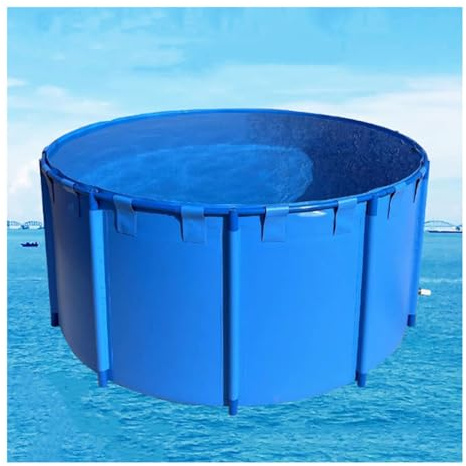 Piscina pieghevole fuori terra in tela per pesci per stoccaggio dell'acqua di emergenza, rivestimento per piscina da allevamento Koi incorniciato (3 x 1 m) - durevole, portatile, facile da installare