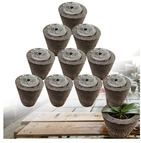 Premium Substrat pour Orchidées | Mélange Aéré et Drainant pour des Racines Saines | Idéal pour Le Rempotage des Phalaenopsis et Dendrobium (⌀4,10PCS)