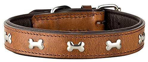 Schnüffelfreunde Lisa Halsband für Hunde aus Leder mit Applikation, Hundehalsband für den großen und mittleren Hund (L - 36-45cm, Braun)