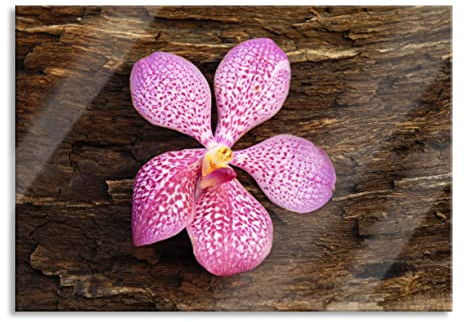 Pixxprint Glasbild, Wandbild aus Echtglas, Orchidee Blüte auf Rinde, 100x70 cm, inkl. Aufhängung und Abstandshalter