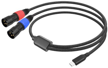 Sehuby Cavo audio da USB C a doppio 3 pin tipo C a 3 pin maschio uscita stereo cavo maschio 3 pin a USB C adattatore per amplificatore