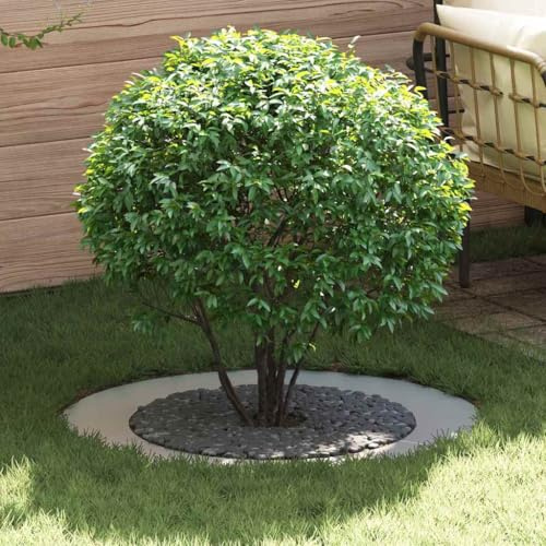Frdhee Parterre de fleurs, parterre de jardin, anneau plat pour arbre argenté, diamètre : 60/90 cm, en acier galvanisé, pour terrasse, jardinage, jardin, balcon