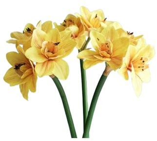 HGTYDV2 24,4 Zoll echter Touch künstlicher Amaryllis-Blumenstiel, 3 Stück, künstlicher Lilienstrauß, große Tropische Blumen, Kunstpflanze für Zuhause, Büro, Vasen-Arrangements