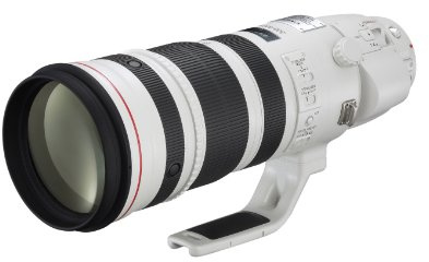 Canon EF 200-400mm f/4L is USM Extender 1.4X