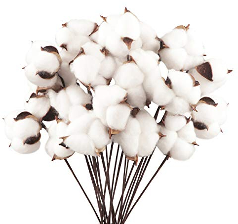 20 Pack Fleurs de Coton Naturelle Fleurs Sechees Tige Fausses Branches Plantes Décoration pour Balcon Maison Table Composition Florale