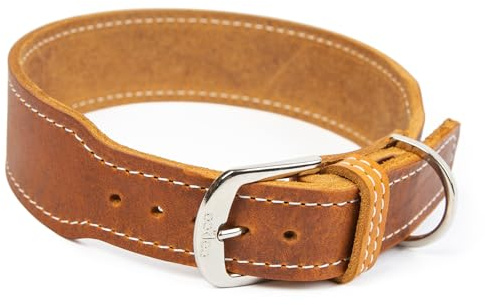 CopcoPet Hundehalsband Leder – Handgefertigtes Lederhalsband für kleine, mittelgroße Hunde – Halsband Hund – Verstellbar & Robust – Zoe, Cognac, 35 – 40cm 30mm breit, Verchromte Beschläge