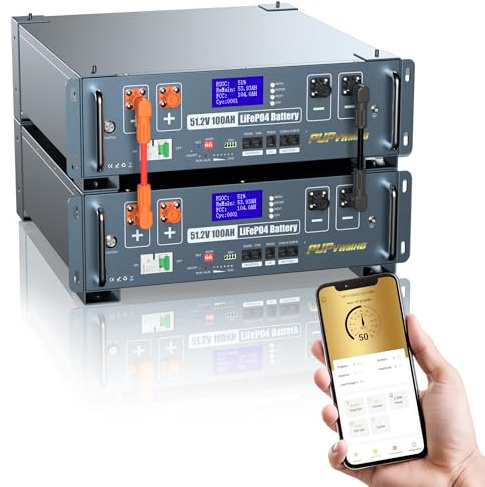 Batterie LiFePO4 48V 200Ah (2 unités, 10,24 kWh). WiFi/Bluetooth, extinction incendie auto, BMS 100A intégré, kit rack 3U inclus. Pour stockage solaire et secours domestique.