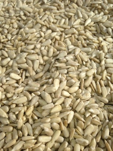 10kg Sunflower Hearts wild Bird Food. High Energy Birds Seed, Premium Sunflower Seeds & wild Bird Food (10 KG)