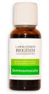 Gemmo Masculin - Flacon 30ml Biogemm.
