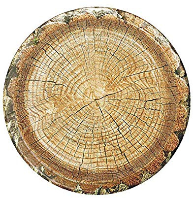 Havercamp Cut Timber 10 Party Plates (8 plates)! 8 Lg. Round Dinner Paper Plates from the Cut Timber Party Collection