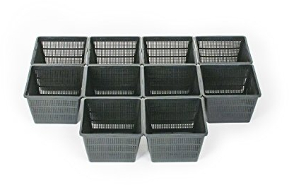 Inter Flowers GmbH Inter Flower 10er Set Pflanzkörbe Wasserpflanzen 18 x 18 x 12 cm für Gartenteich – geeignet für Teichpflanzen wie Seerosen/Kunststoff/Teichpflanzen Korb Gartenteich Wasserpflanzen
