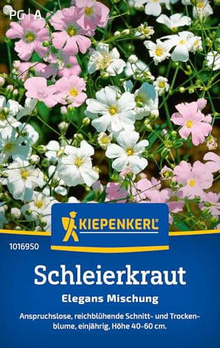 Kiepenkerl Schleierkrautsamen Elegans Mischung 1016950, Blumensaat | Reichblühende Schnitt- und Trockenblume, als Schnittblume, für Beet & Schnittblumen