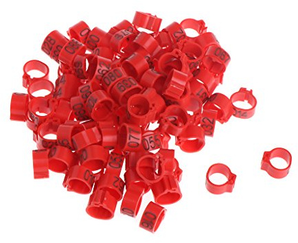 Hattba 100 Stück 10 mm Vogelbeinbänder für Fußbänder, Clip-Ringe für Huhn für Wachteln, Geflügel, mehrfarbig, Papageien, afrikanisches Grau, für kleine Papageien für große Vögel, Aras, Papageien