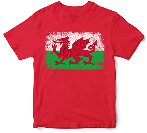 Purple Print House Wales Rugby Flag Kids T Shirt, Cymru Birthday Gifts for Welsh Rugby Fan, Tournament Outfit Gift Idea, Football Nations Shirts for Boys and Girls