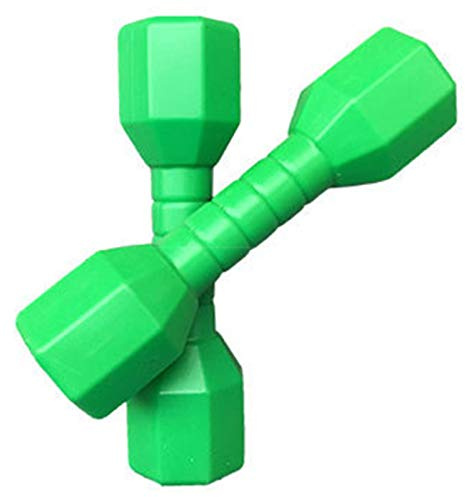 Manubri per fitness per bambini, 2 pezzi, pesi per mani per bambini, regalo divertente per la scuola materna