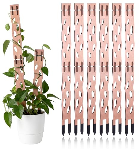 Otoolling 6 Pcs Extendable Plant Wood Trellis Kit Plant Trellis Indoor Modular Support with Extension Parts and Clips for Potted Plants Climbing Houseplant Easy Assembly Moss Pole Alternative