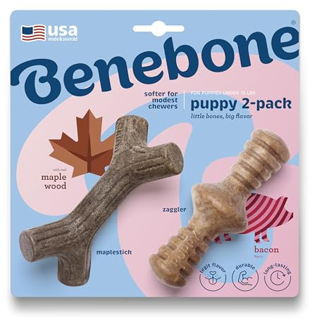 Benebone valp 2-pack lönnpinne/zaggler hållbara tuggleksaker för hund för mjuka tuggare, äkta bacon, äkta lönnträ, tillverkad i USA, liten
