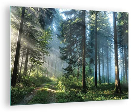 Moderno Quadro su Vetro 70x50 cm Stampe da Parete Botanica Paesaggi - 4398