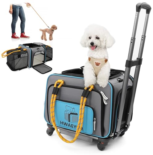 Katzentransportbox Transporttasche mit Rollen Kleine Hund Kleine und Mittelgroße Kleintiere Transportboxen für Flugzeug Haustiere Reisen Wagen Rollen mit Teleskopgriff Schultergurt Abnehmbare Räder