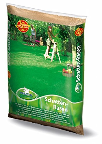 Pegasus Schatten-Rasensamen, 2 kg für 50qm, 622371 – Schattenrasen für dichte Rasenteppiche, schnellkeimend, ideal für schattige Lagen, langlebig, Rasensaat
