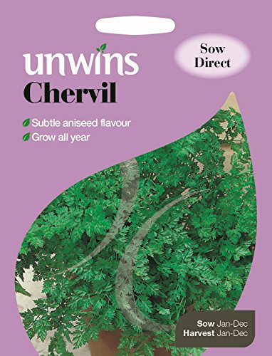 Unwins Pictorial Packet - Herb Chervil - 500 Seeds