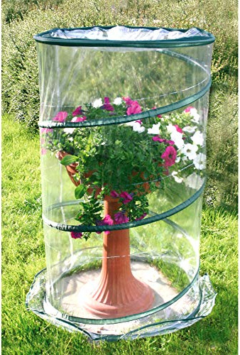 Verdemax 2634 Serre Pop-up en anthurium 70 x 100 cm