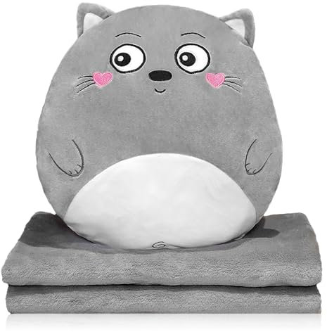 MeYuxg 140 x 170 cm Reisedecke und Kissen mit Bezug 3-in-1, Nickerchen Kissendecke, Autosofa, Rückenlehnenkissen für Kinder Junge, Mädchen Weiche Geschenke Erwachsene (Chinchilla)