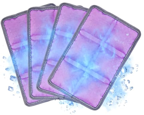 HASAIKA® Acumulador de Frío, Hielo Nevera Portatil, Bolsas de Gel refrigerante portátiles, Finas y de Larga duración para almuerzos, picnics y acampadas