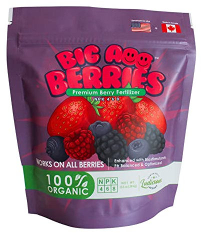 Big A Berries Fertilizer Nutrients – Plant Nutrients for Growth – Organic Nutrients for Indoor and Outdoor Berries – Works on Raspberry, Strawberry, Blueberry - 13.5oz