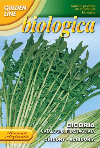 Franchi Seeds of Italy Organic Range Chicory Catalogna Frastagliata Seeds