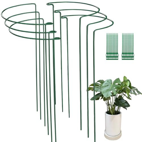 6 Pack 25x60cm Garden Plant Support Stakes Anelli Gabbie con 20 PZ Piante Cravatte, Metallo Half Round Plant Ring per Peonies, Idrangea, Pomodoro, Rosa