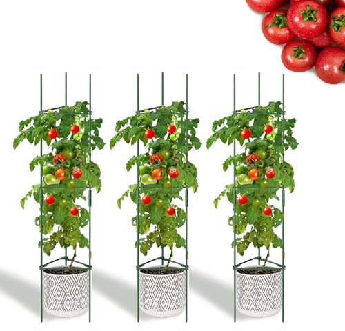 Jardin Plantes Support avec Cage à Tomates - Treillis pour Plante Grimpante, Fleurs, Légumes et Fruits Grow Cage, avec Bielle pour Le Balcon (Trois Groupes)