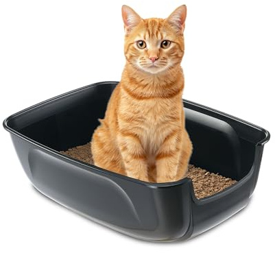 Ferplast Lettiera Gatto, Toilette per Gatti Grandi, in Plastica con Bordi Alti, Facile e Veloce da Pulire L 67 × W 49 × H 24 cm, Nero