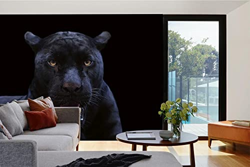 Vlies Fototapete SCHWARZER PANTHER 375 x 250 cm (inkl. Kleister) - Vlies Tapete, Wandtapete, Wandbilder - Tapete für Wohnzimmer Schlafzimmer, Büro, Küche - Montagefertig