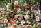 Cobble Hill 2000 Piece Puzzle - Mad Hatter's Tea Party - Sample Poster Age 8+ Included