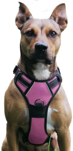 No Pull Hundegeschirr, Verstellbar Atmungsaktiv Reflektierend Weich Gepolstert Hunde Geschirr, Brustgeschirr für Hunde (Rosa, S)
