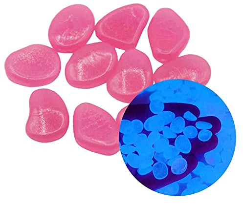Lot de 300 galets phosphorescents pour décoration de jardin et pot de fleurs avec plateau (fuchsia, taille unique)