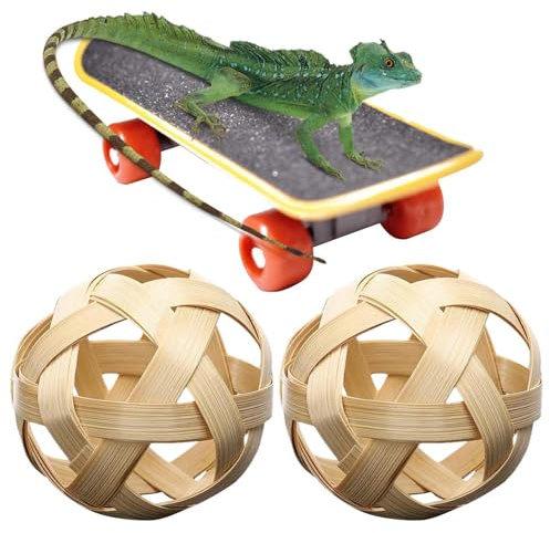 Turtle Feeding Ball - Porte-fruits, boule de feeder, plaisir d'alimentation, 2 boules de traitement, jouet d'enrichissement pour tortues, activités d'enrichissement pour tortues et tortues