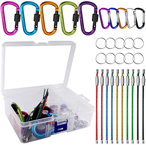 10 Pack Aluminum D-Ring Carabiners, YuCool D Shape Keychain Clips Hook Spring-Loaded for Camping Hiking Fishing, Locking Carabiner,Caribiniers 10 Key Rings - Multi-Color