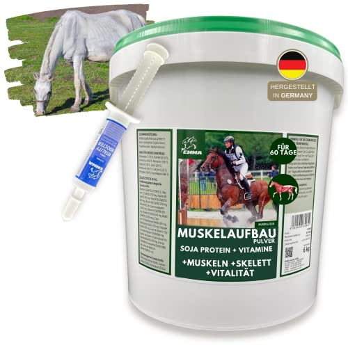 Sojaschrot Pferd & Amino Booster - Aufbaufutter mit Vitamin E Aminosäuren B-Vitamine 6Kg 30ml Zusatzfutter Muskelaufbau Pferd Protein Pulver Gewichtszunahme I Weight Gainer Zunehmen bei Untergewicht
