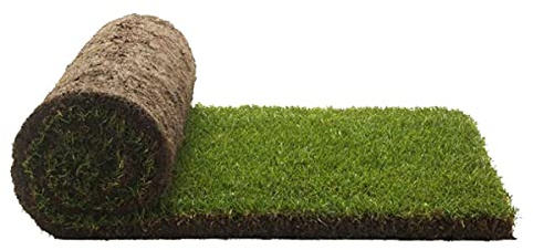 PetGround, Recambio Bandeja XL Cama para Mascotas, Alfombra Olfativa (XL)
