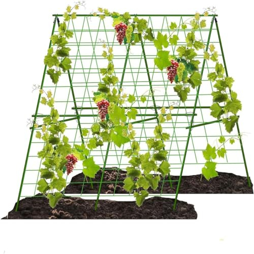 RIEONA Gurkenspalier, faltbares Gurkenspalier mit A-Rahmen, abnehmbares Rankgitter for Hochbeet, faltbares Gurkenspalier mit A-Rahmen, Gartenspalier for Kletterpflanzen im Freien (Size : 1.2mx1.2m)