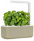 Click & Grow Smart Garden Orto in Casa, Kit Completo con 3 Capsule di Basilico, Illuminazione e Irrigazione Automatica, Idroponica Semplificata