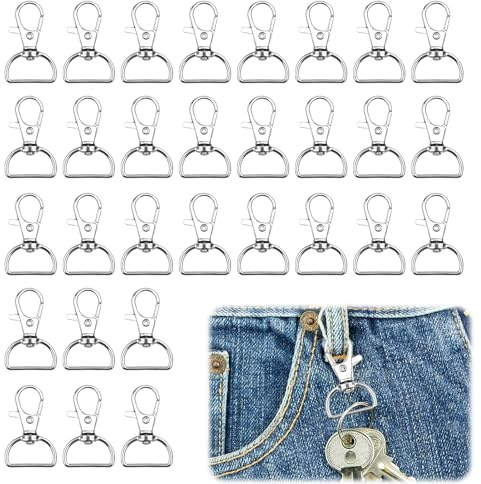 30 Stück Schlüsselanhänger Karabiner mit D-Ring, Schlüsselanhänger Haken, für Schlüsselanhänger, Handwerksarbeiten und Diy-Projekte (2cm Innenbreite)