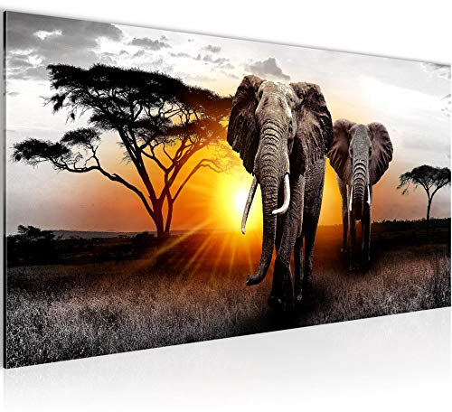 Runa Art Tableau Decoration Murale - Afrique L'Éléphant - 1 Partie - Moderne Toile Non tissée - Salon Salle Panorama - Gris Orange - 007612a