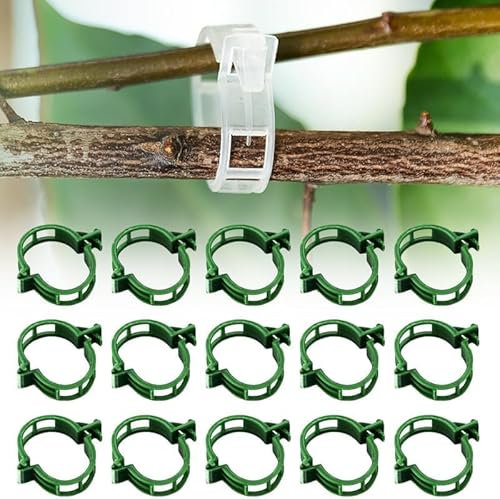 HOIDOKLY Pinza de sujeción para plantas, pinzas para plantas trepadoras, transparentes, pinzas de plástico aseguradas, pinza de fijación para plantas de jardín (300, verde)
