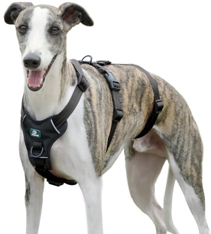 Paworld Sicherheitsgeschirr Hund, Anti Zug Hundegeschirr, Panikgeschirr für Hunde, Ausbruchsicheres Geschirr Hund, Verstellbare, Atmungsaktiv Weste für kleine, mittelgroße und große Hunde (Schwarz,L)