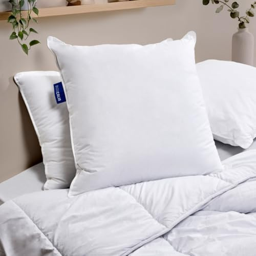 Bleu Câlin Lot de 2 Oreillers Confort Ferme 'Alaska', Superbe Gonflant, Enveloppe 100% coton percale, Blanc, 60 x 60 cm Forme Carré